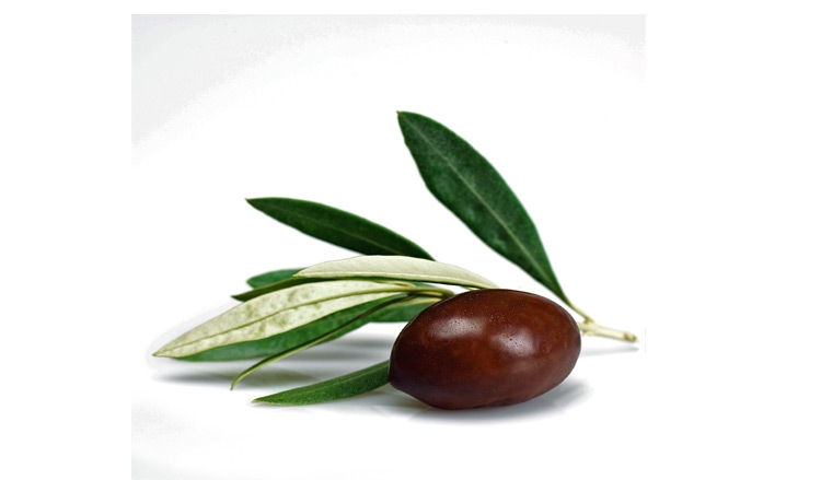 Alleskönner Olivenöl in der Pflegelinie OLIVEA